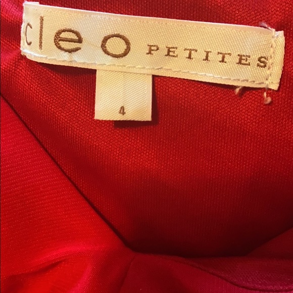 Red Dress - Picture 3 of 3